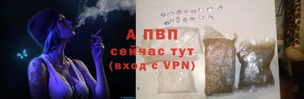 твердый Беломорск