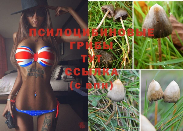 не бодяженный Белокуриха