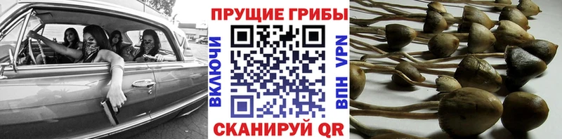 Галлюциногенные грибы Magic Shrooms Валуйки