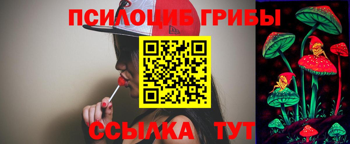 Валуйки  Галлюциногенные грибы MAGIC MUSHROOMS  Вход с VPN  Псилоцибиновые грибы GOLDEN TEACHER 