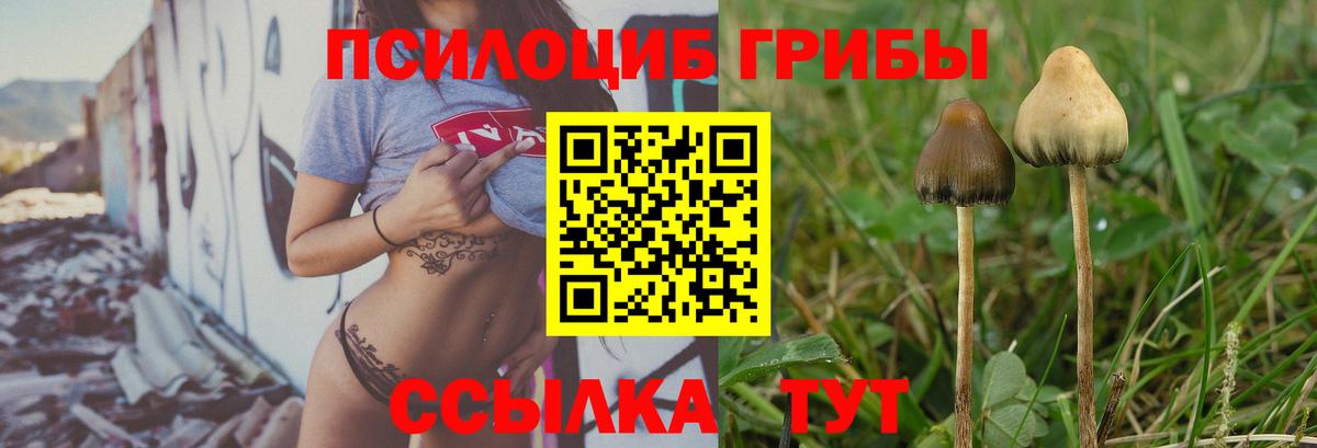 Псилоцибиновые грибы мицелий Валуйки